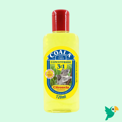 CONEXÃO TROPICAL - 2026-03-20T160906.065