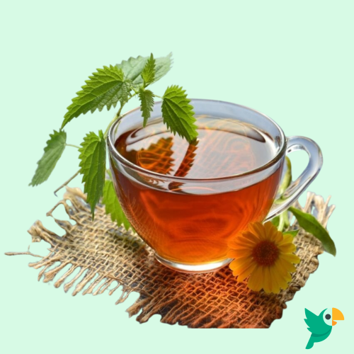 CONEXÃO TROPICAL - 2026-03-24T202100.423