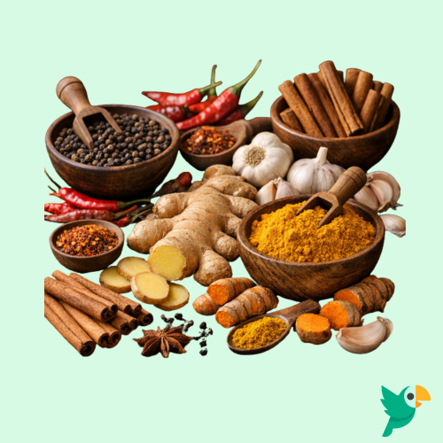 CONEXÃO TROPICAL - 2026-03-24T211808.508